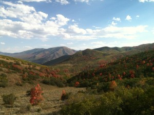 Fall in Central Wasatch